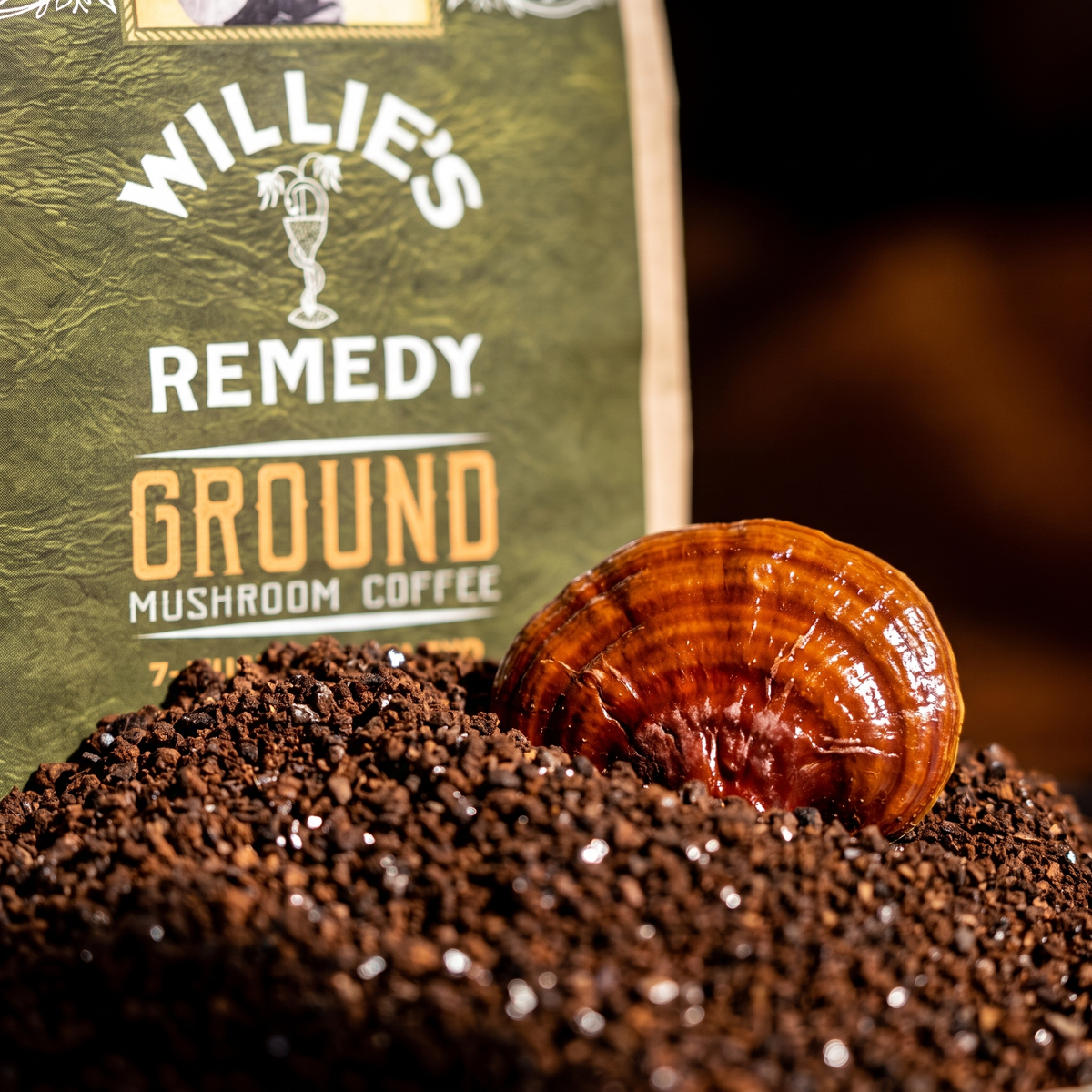 Close-up of Willie's CBD Ground Mushroom Coffee grounds with a reishi mushroom